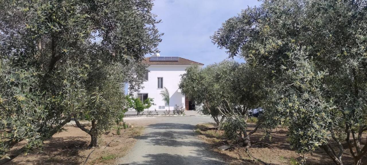 Kiti Village Villa Larnaca Esterno foto