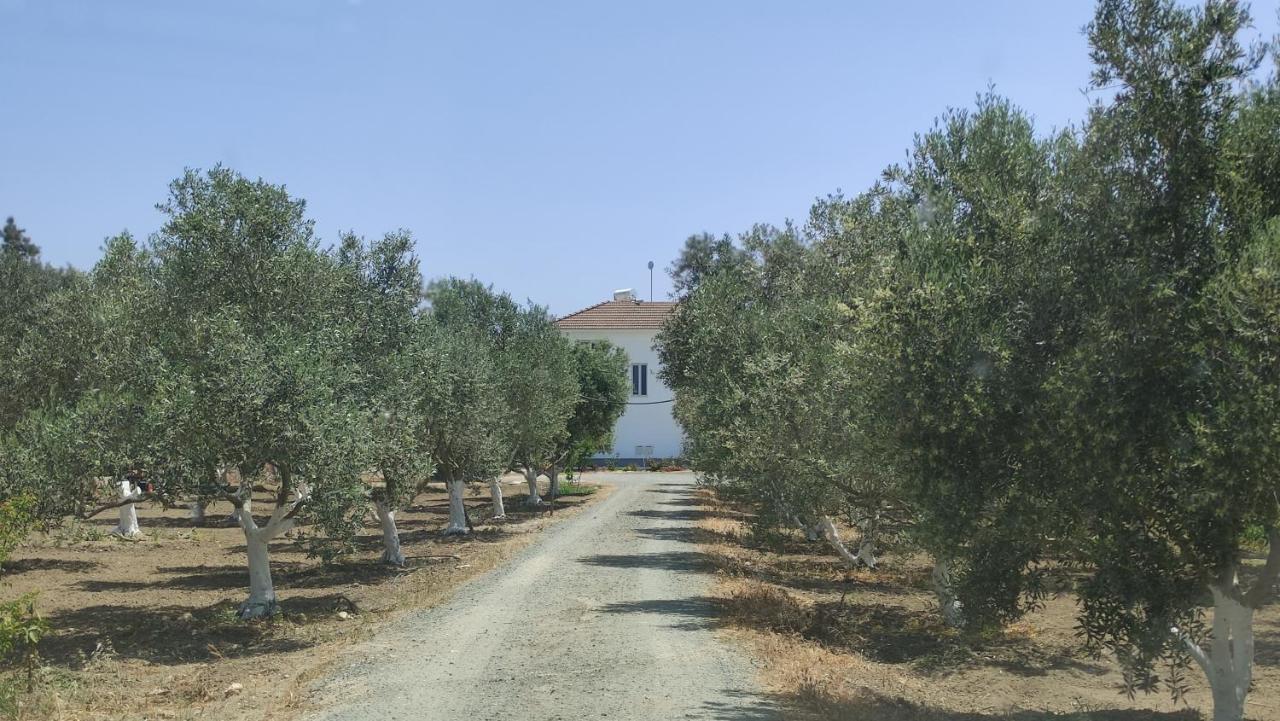 Kiti Village Villa Larnaca Esterno foto