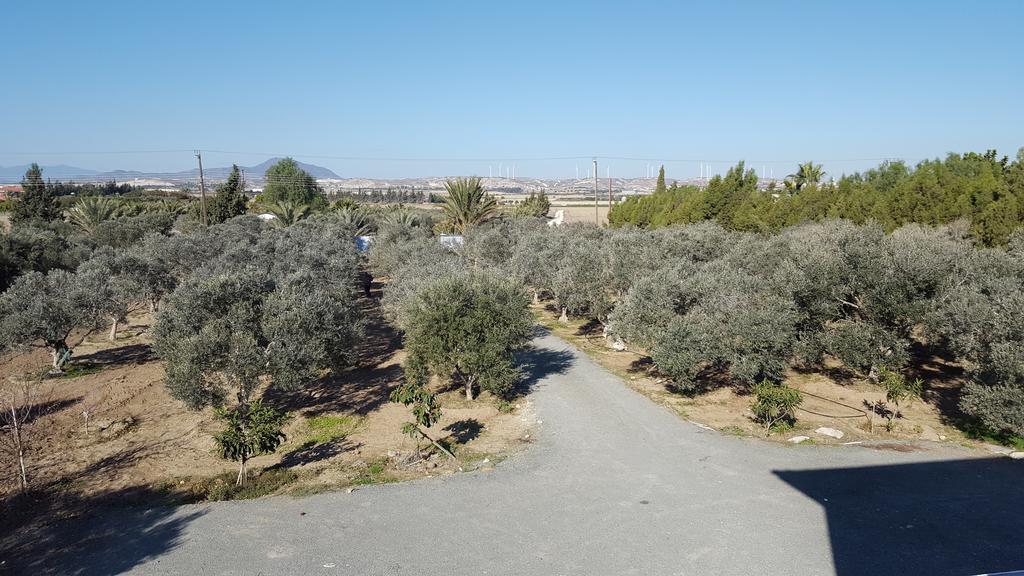 Kiti Village Villa Larnaca Esterno foto